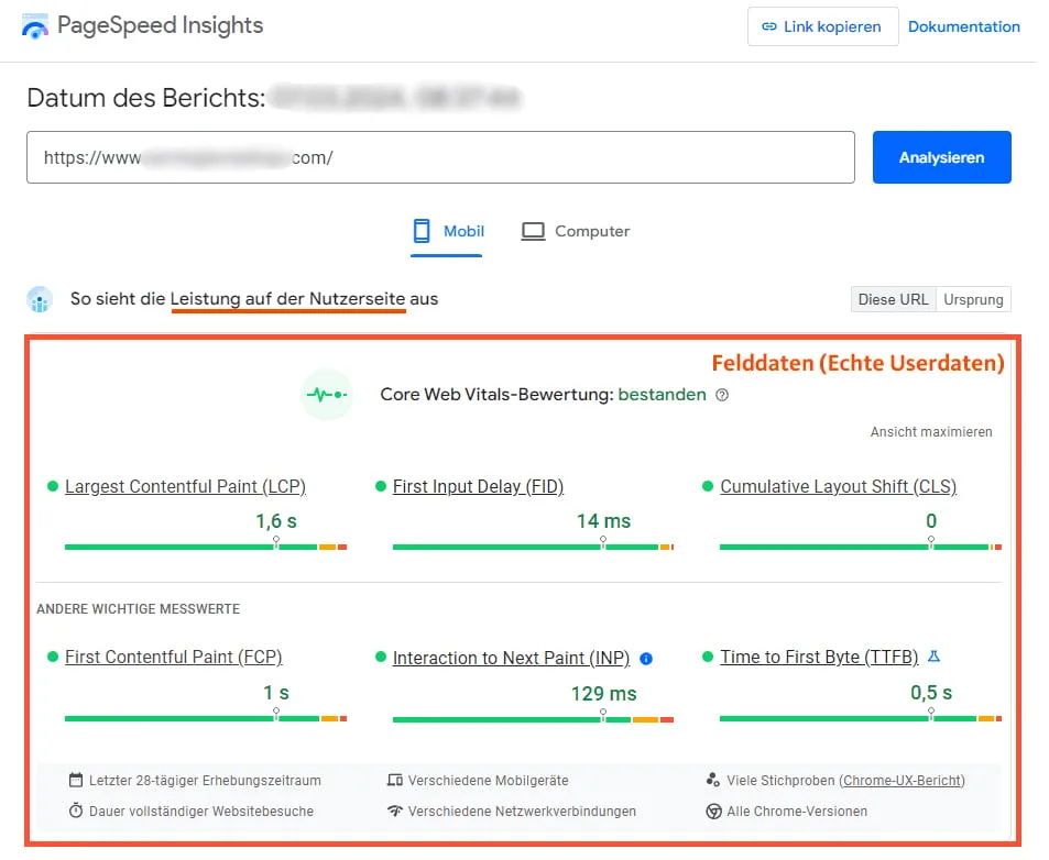 Felddaten im Pagespeed Insights Bericht